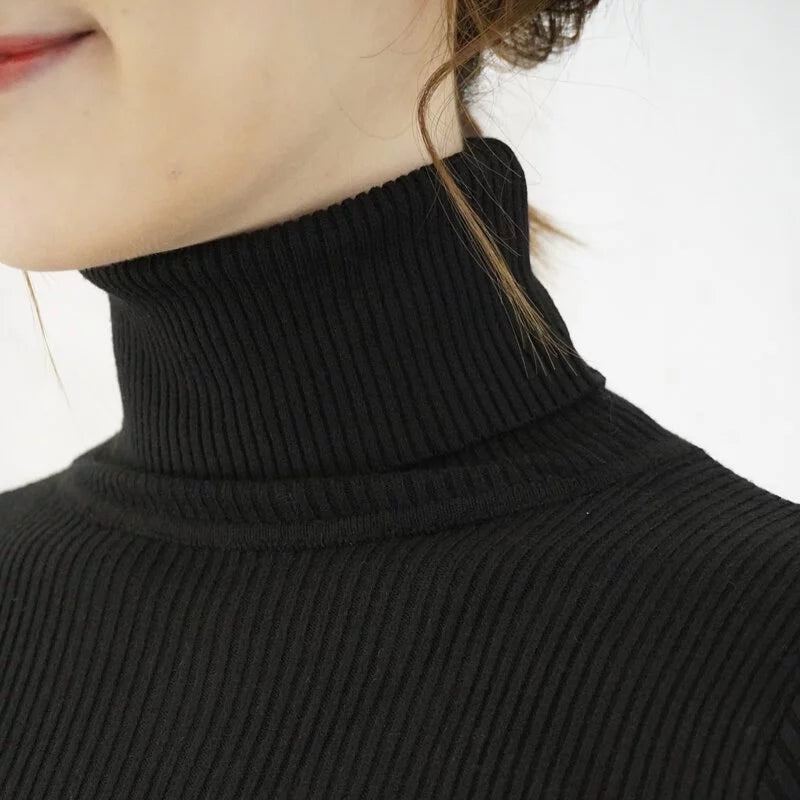 High neck ribbed knit fitted versatile top