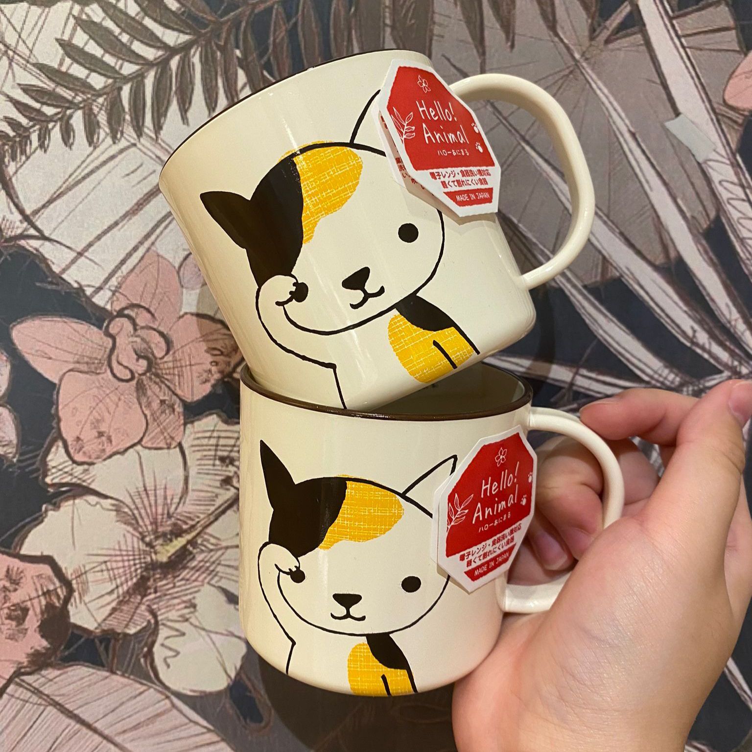 貓咪杯