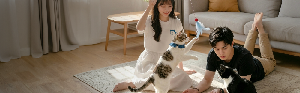 Couple playing with their cats on a living room rug at Grandmama Store in Hong Kong.