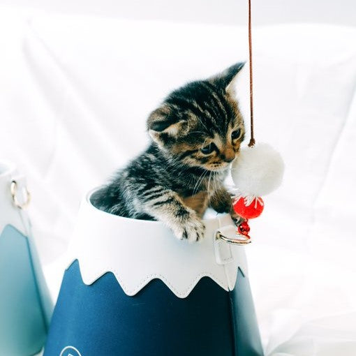 Tabby kitten sitting inside a blue Mount Fuji bucket bag playing with a pom-pom toy at Grandmama Store in Hong Kong.